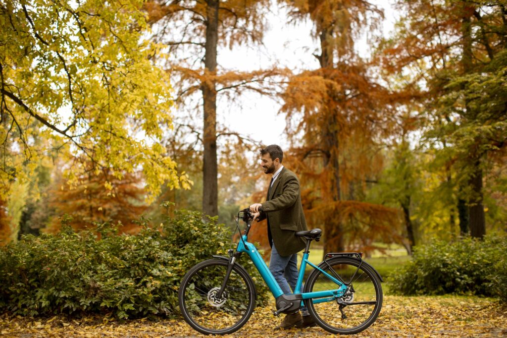 mobilite electrique